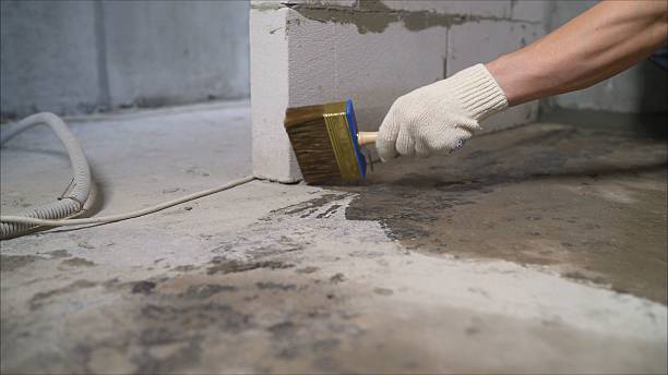 SJ Waterproofing Pros Waterproofing coverage map for Allegan, MI and surrounding area